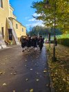 Herbst7
