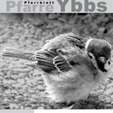 Pfarrblatt_2006-4